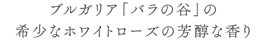 ブルガリア「バラの谷」の希少なホワイトローズの芳醇な香り